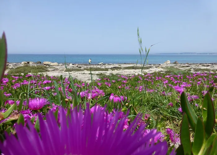 Casa Galli On The Seafront Holiday home