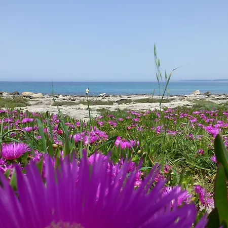 Casa Galli On Seafront For 2-4 Persons Feriehus
