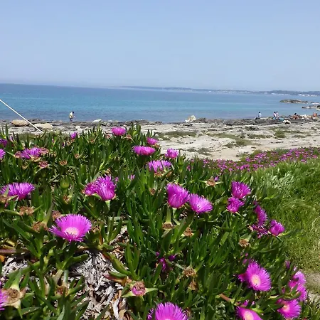 Casa Galli On Seafront For 2-4 Persons *
