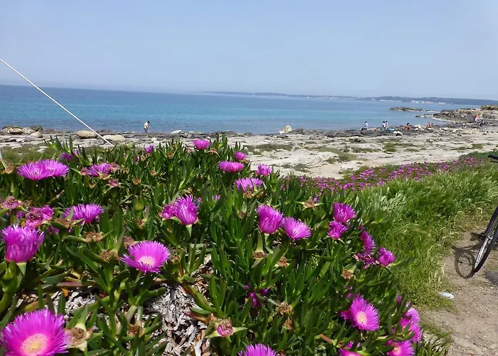 Casa Galli On The Seafront *